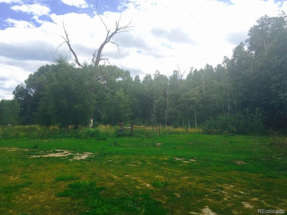 207 County Road Durango, CO 81301 - Photo 5 of 25