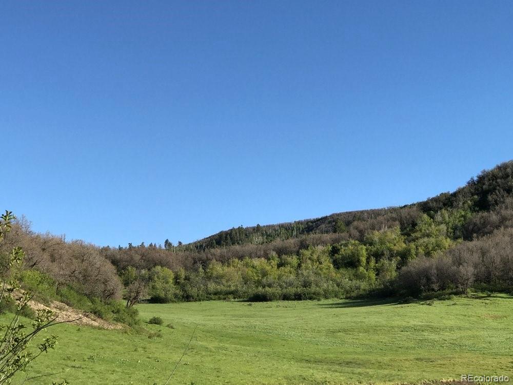 207 County Road Durango, CO 81301 - Photo 6 of 25