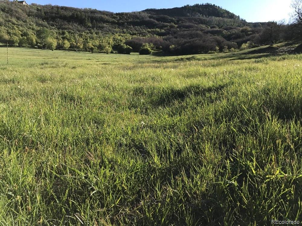 207 County Road Durango, CO 81301 - Photo 8 of 25