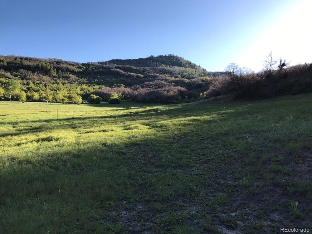 207 County Road Durango, CO 81301 - Photo 9 of 25