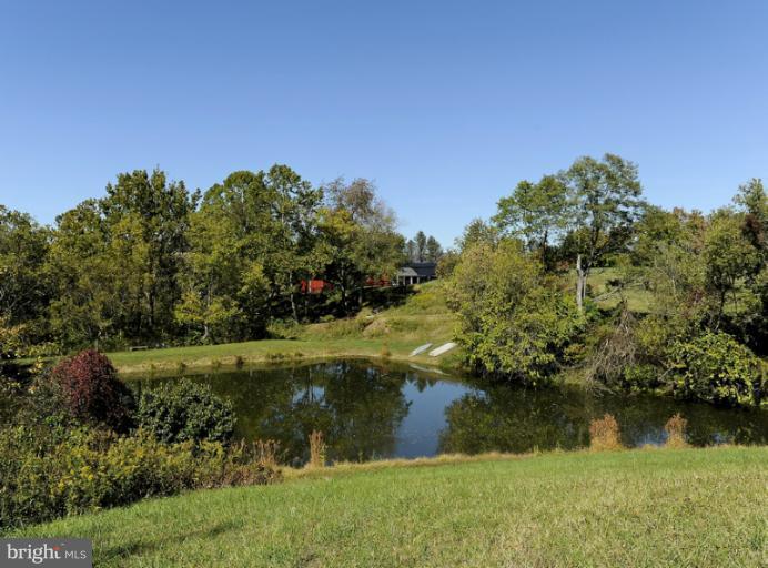 2648 Rectortown Road Delaplane, VA 20144 - Photo 12 of 25 Hill overlooking the larger of 2 spring fed ponds