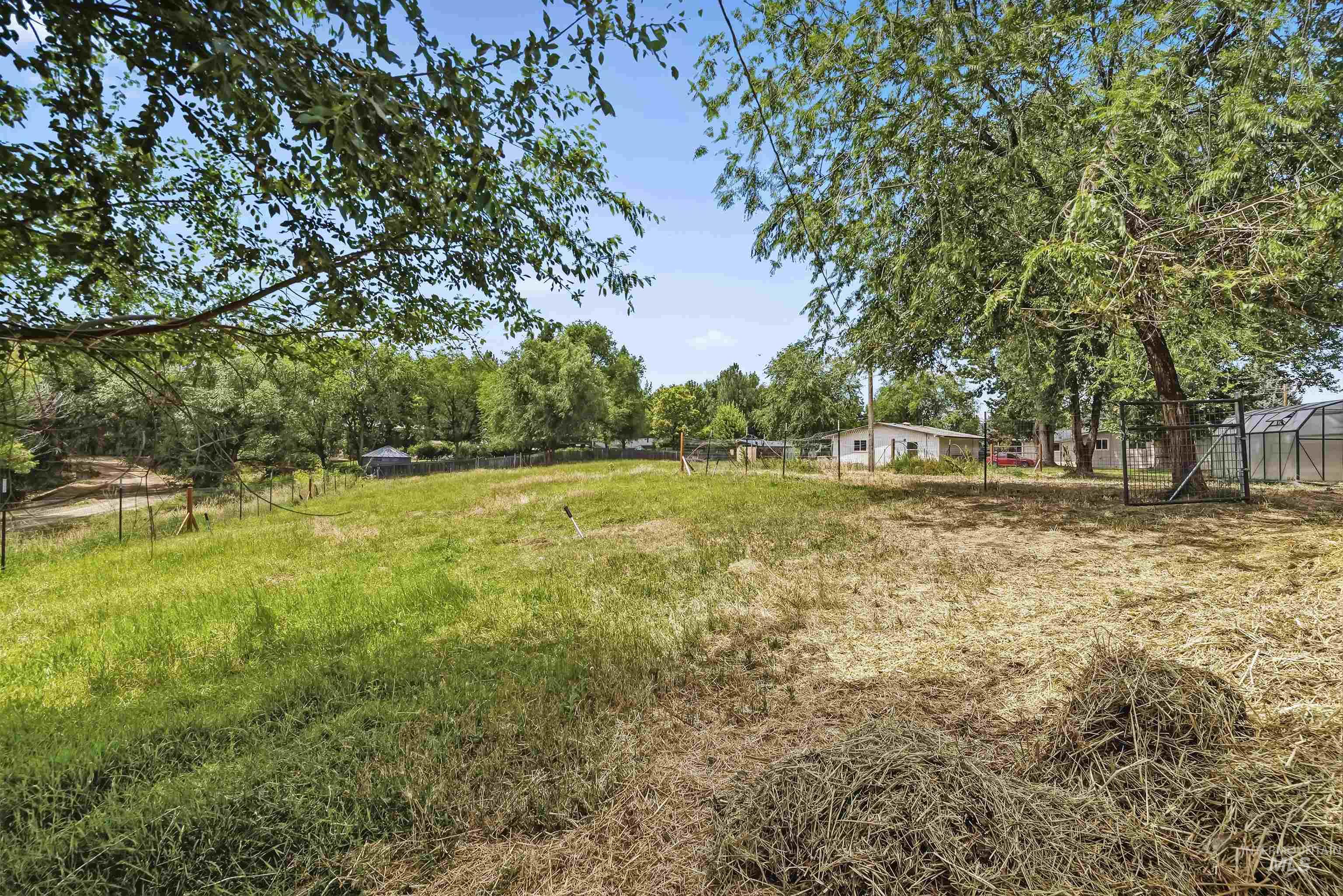 355 East Beacon Light Road Eagle, ID 83616 - Photo 37 of 47 Expansive grassy grounds with mature trees and a greenhouse structure