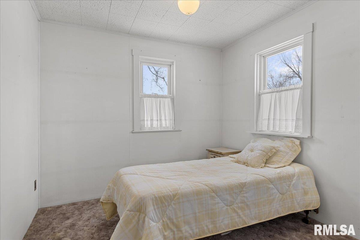 3120 South 13th Street Springfield, IL 62703 - Photo 10 of 43