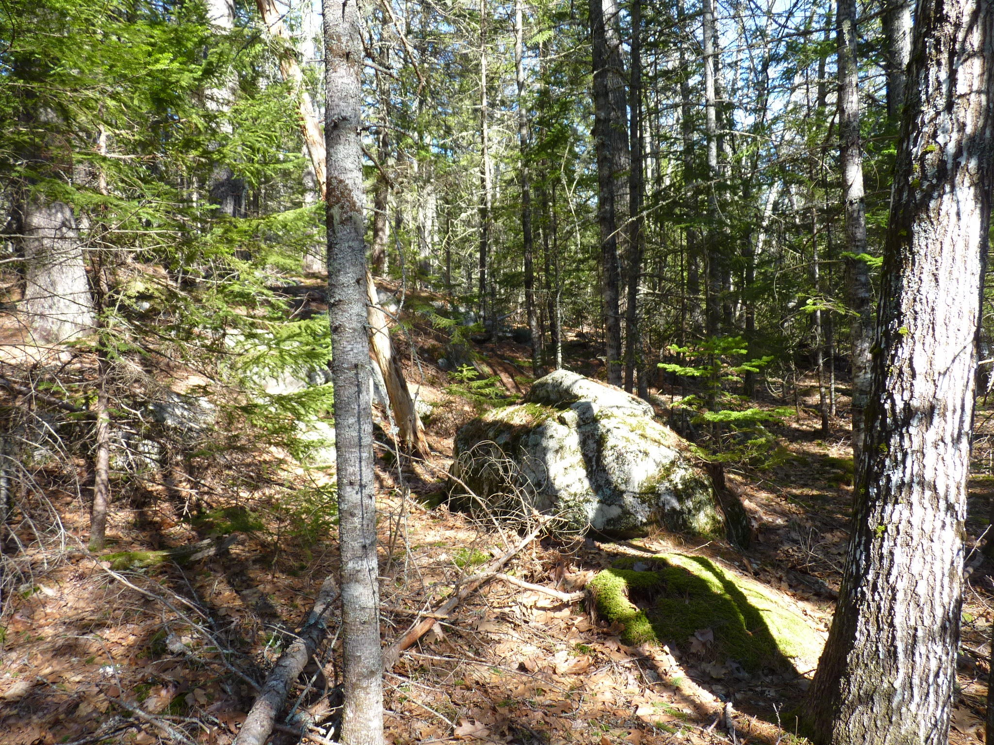 P1420675