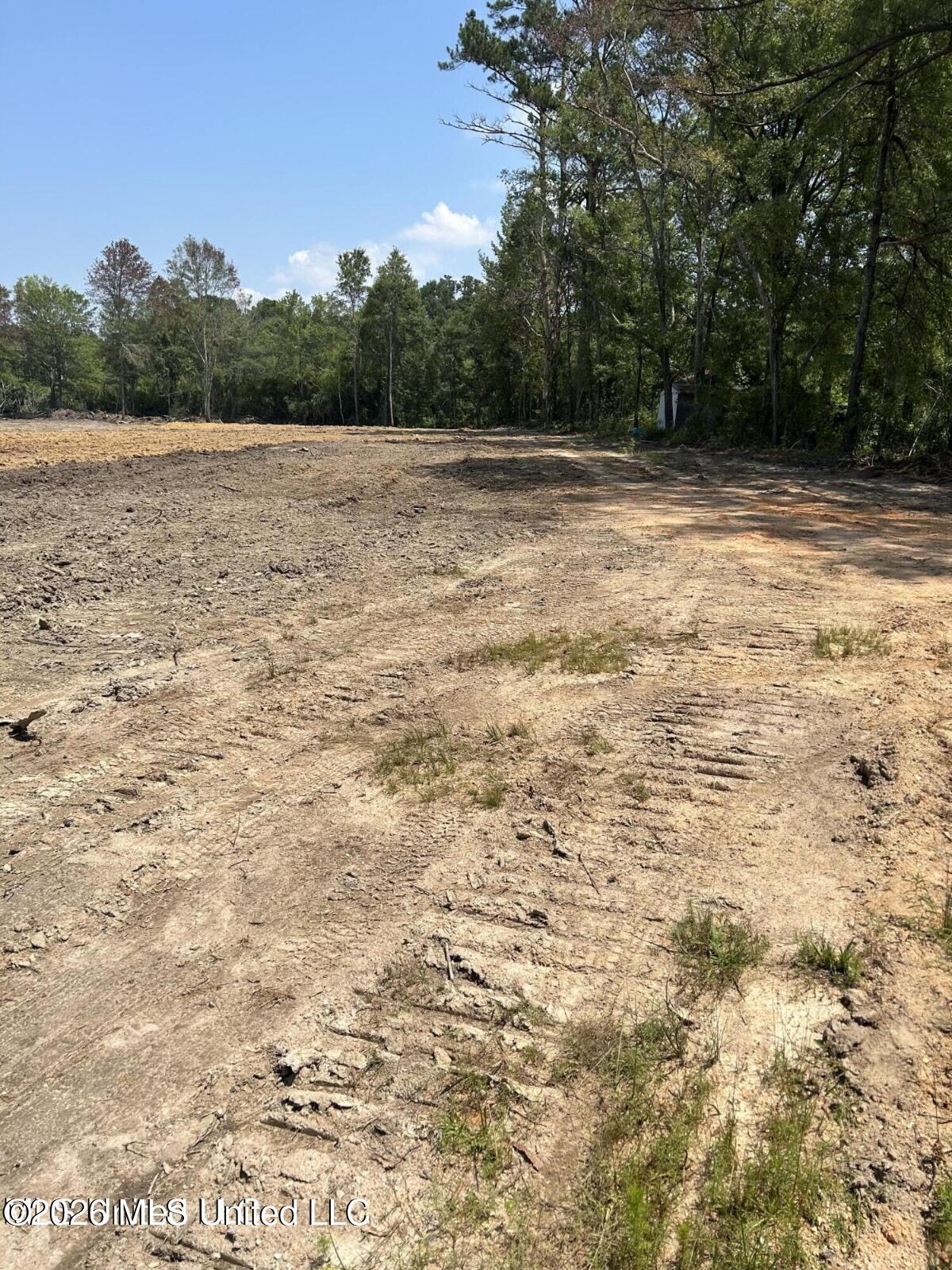 18 Mississippi Quitman, MS 39355 - Photo 5 of 6 11612890-1KtSfglK9fbfSkG6