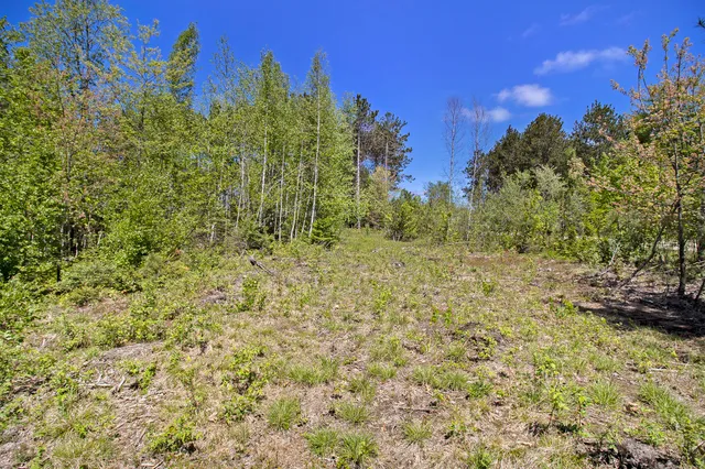 $27,500 | Lot 35 North Pine Ridge Drive, Ludington, MI 49431