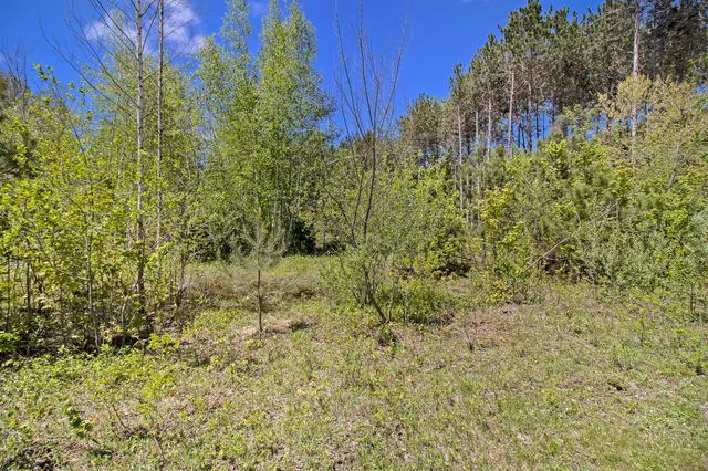 $27,500 | Lot 35 North Pine Ridge Drive, Ludington, MI 49431