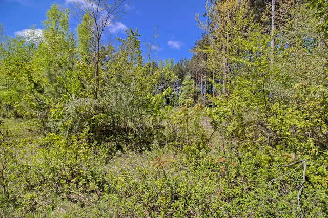 $27,500 | Lot 35 North Pine Ridge Drive, Ludington, MI 49431