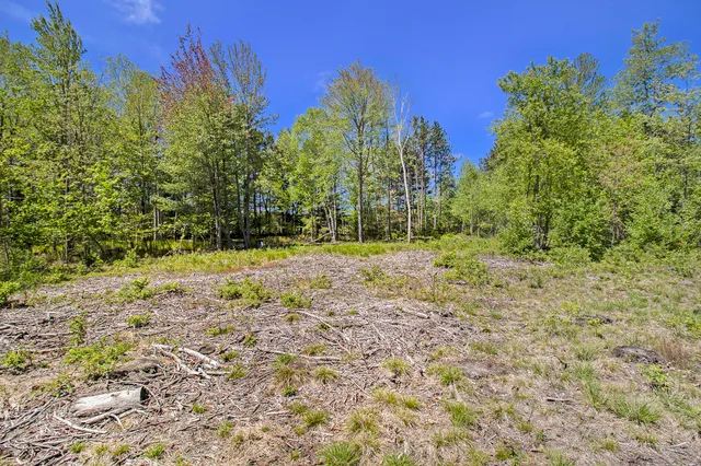 $27,500 | Lot 35 North Pine Ridge Drive, Ludington, MI 49431
