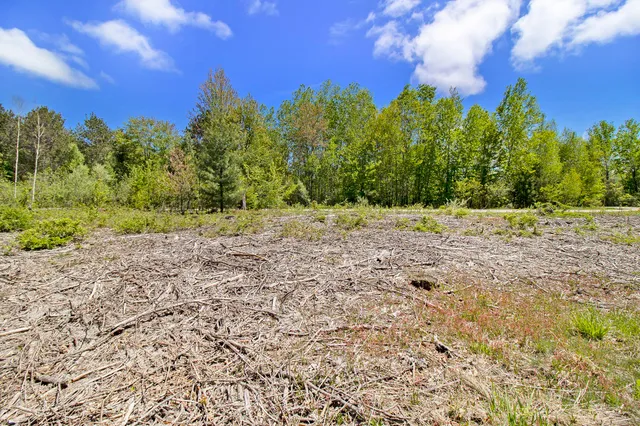 $27,500 | Lot 35 North Pine Ridge Drive, Ludington, MI 49431