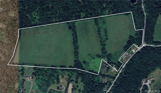 a green field with lots of trees in the background