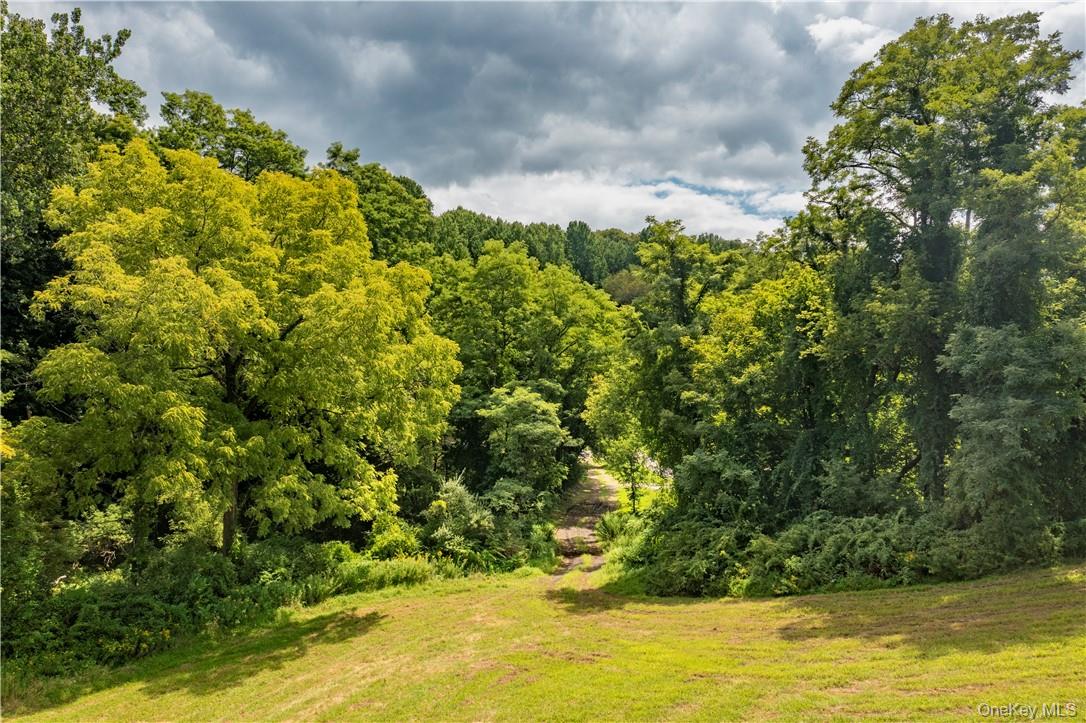 245 Birch Hill Road Patterson, NY 12563 - Photo 4 of 10 a view of a lake with houses