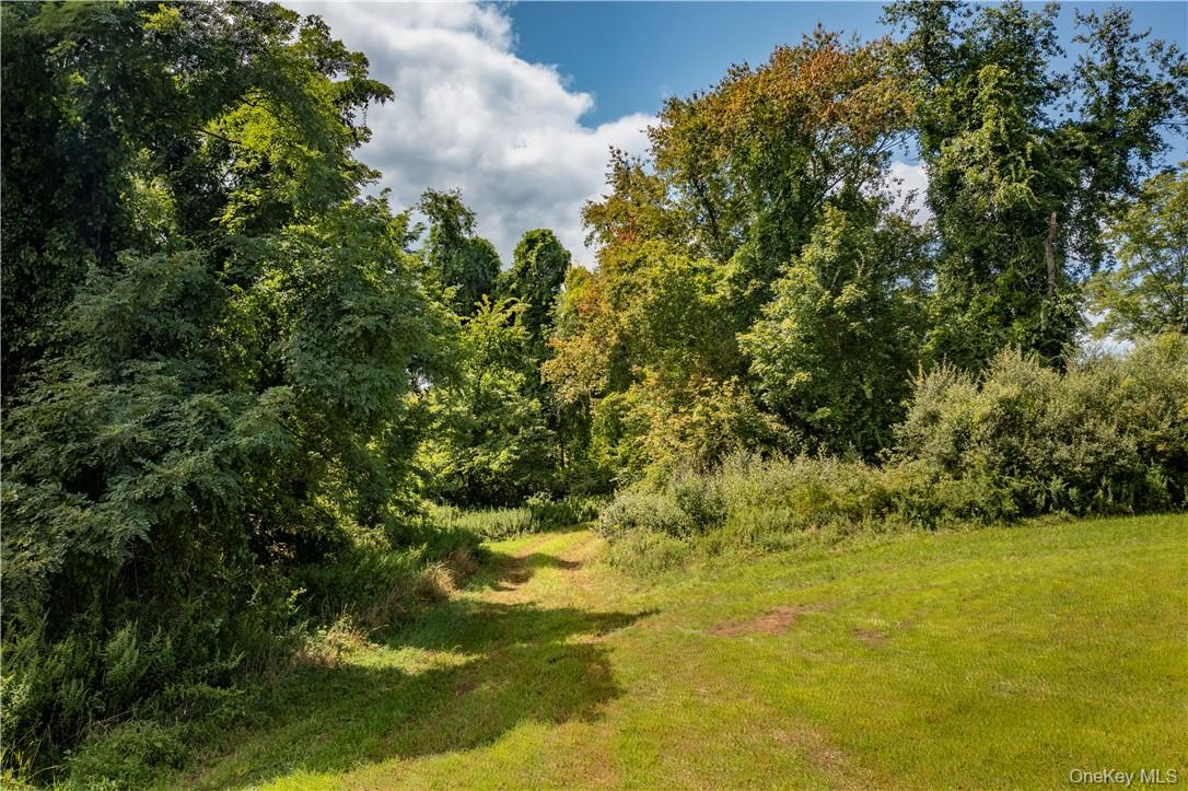 245 Birch Hill Road Patterson, NY 12563 - Photo 5 of 10 a view of yard with green space