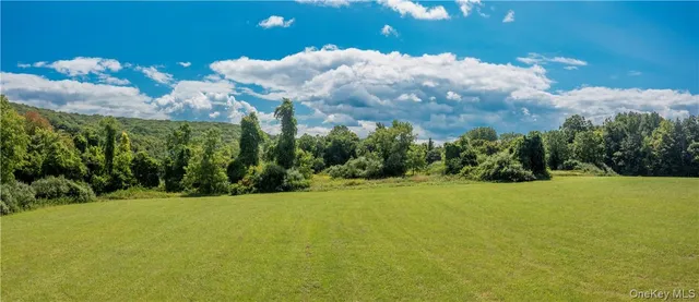 a view of a field with an trees in the background