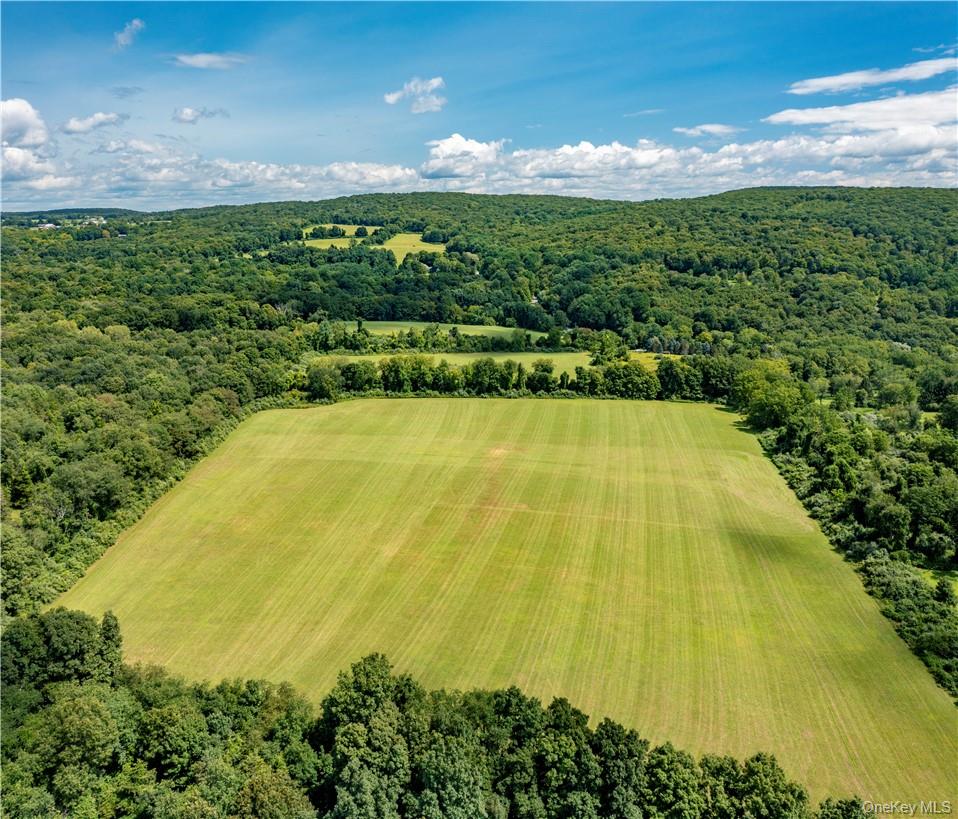 245 Birch Hill Road Patterson, NY 12563 - Photo 7 of 10 a view of an outdoor space