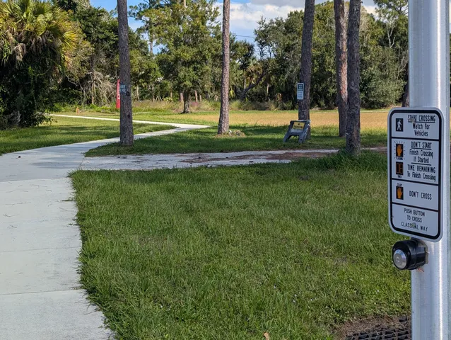 a view of a park with tree s