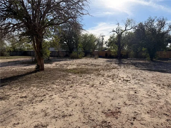 a view of dirt yard with a large tree