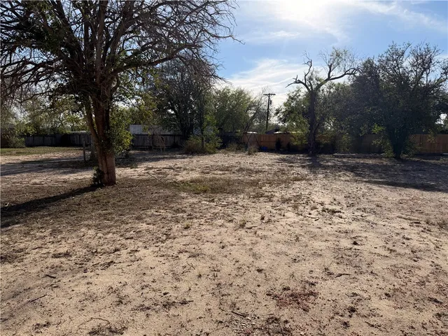 a view of dirt yard with a large tree