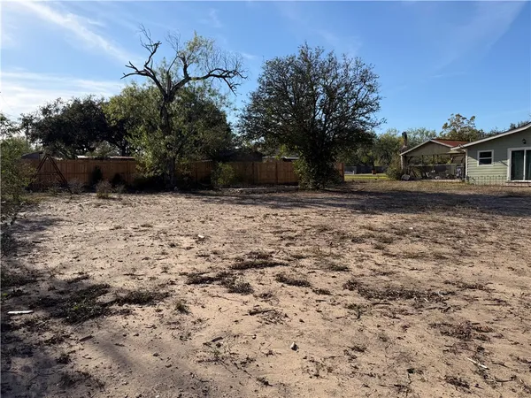 a view of a yard with trees