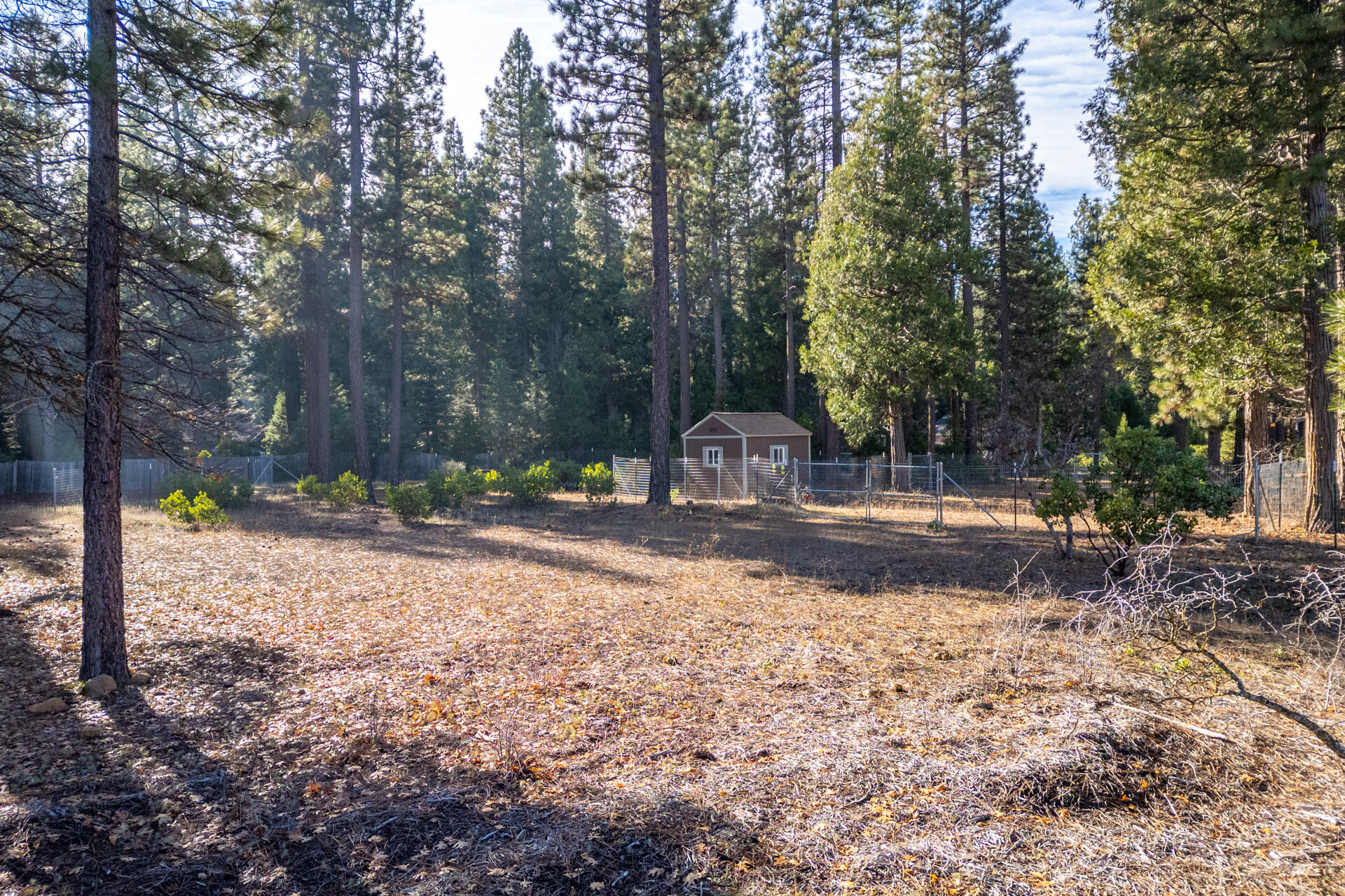Serpentine Lane Burney, CA 96013 - Photo 4 of 13 DJI_0373-HDR