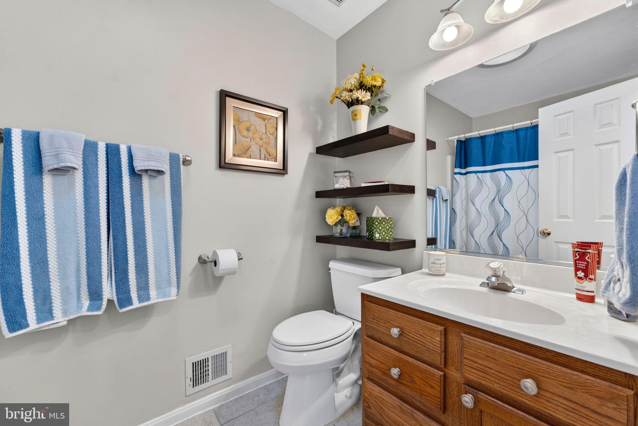 3460 Indian Run Road Amissville, VA 20106 - Photo 33 of 57 Charming bathroom with modern accents.