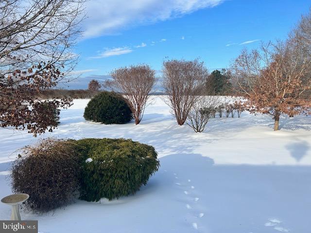 3460 Indian Run Road Amissville, VA 20106 - Photo 54 of 57 Winter's serene blanket over tranquil gardens.