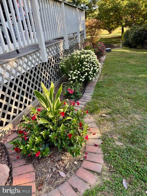 3460 Indian Run Road Amissville, VA 20106 - Photo 55 of 57 Vibrant blooms enhance a charming garden path.