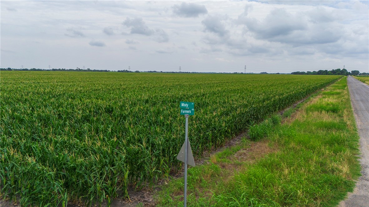 1923 Farmers Road Maxwell, TX 78656 - Photo 10 of 17 a view of a field with plants and a big yard