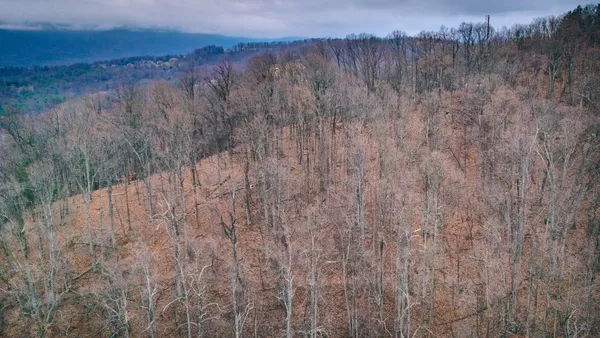 a view of a dry yard