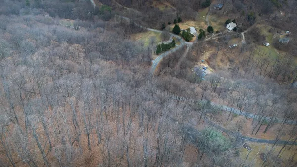 a view of flowers in a field