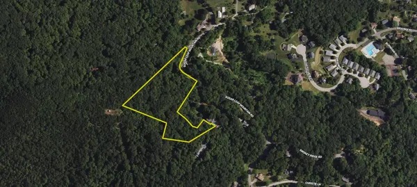 a green field with lots of bushes