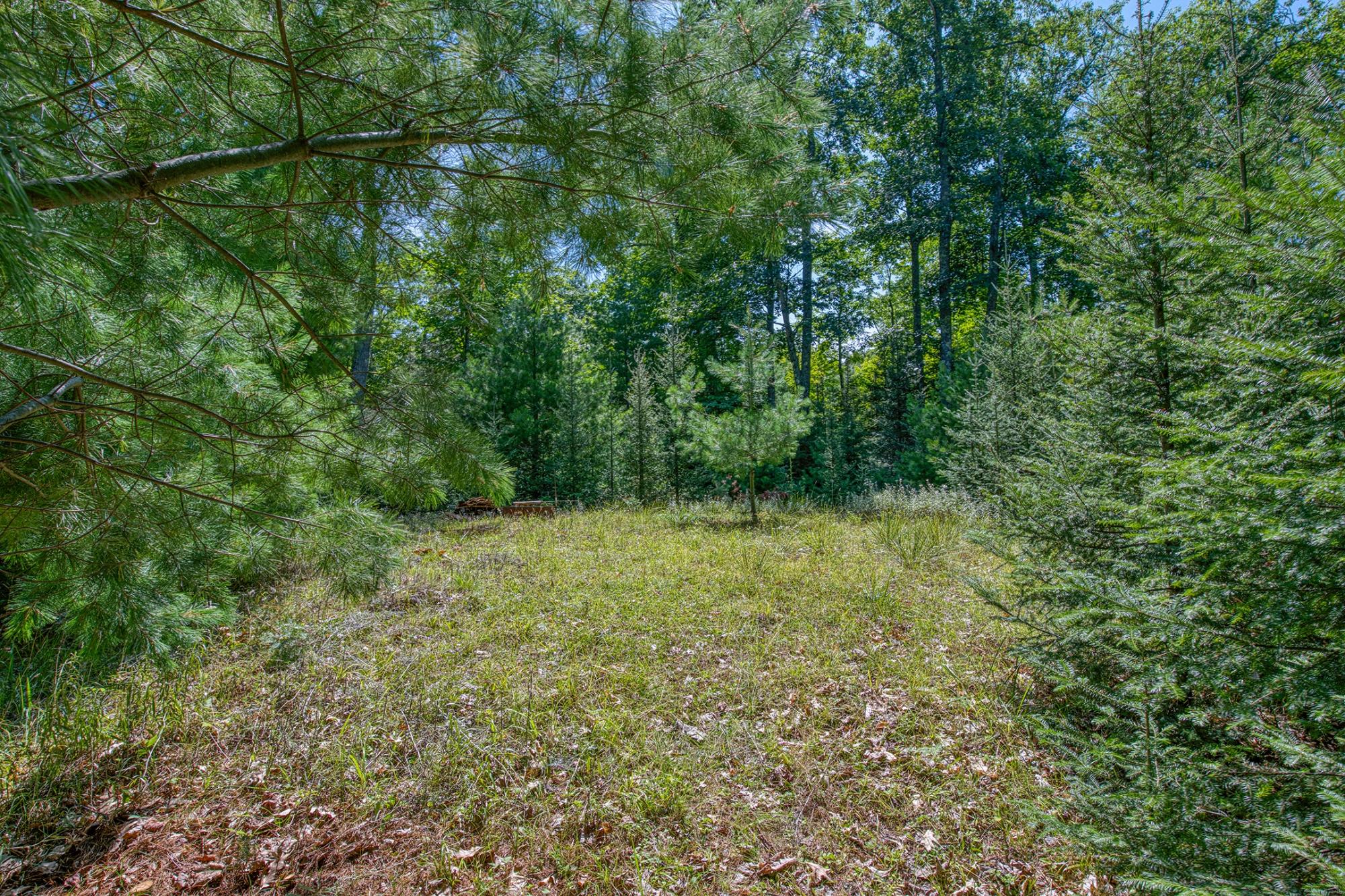 4285 Camp Two Road Star Lake, WI 54561 - Photo 22 of 45 Gallery Image 22