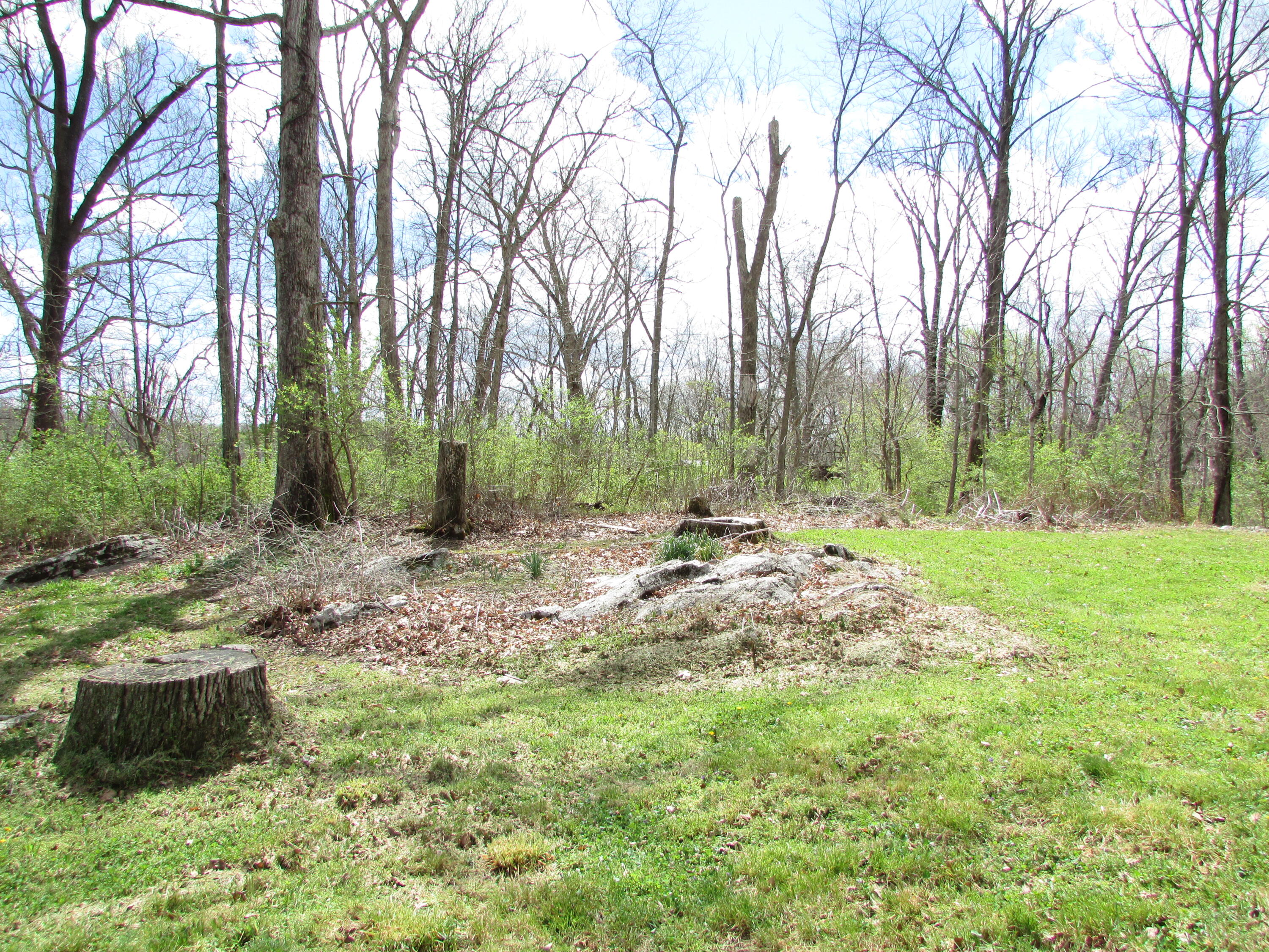 192 Smalling Road Watauga, TN 37694 - Photo 3 of 42 192 smalling road watauga tn 37694 (17)