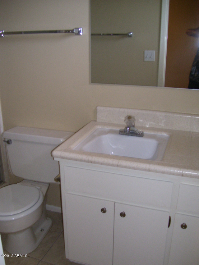 5328 East Decatur Street Mesa, AZ 85205 - Photo 7 of 14 Master Bath