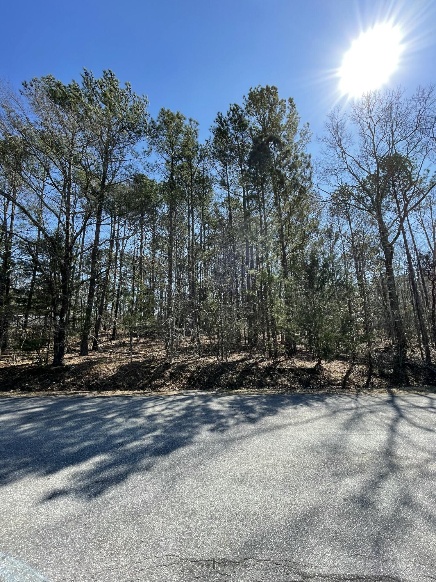 0 Westside Drive McCormick, SC 29835 - Photo 3 of 10