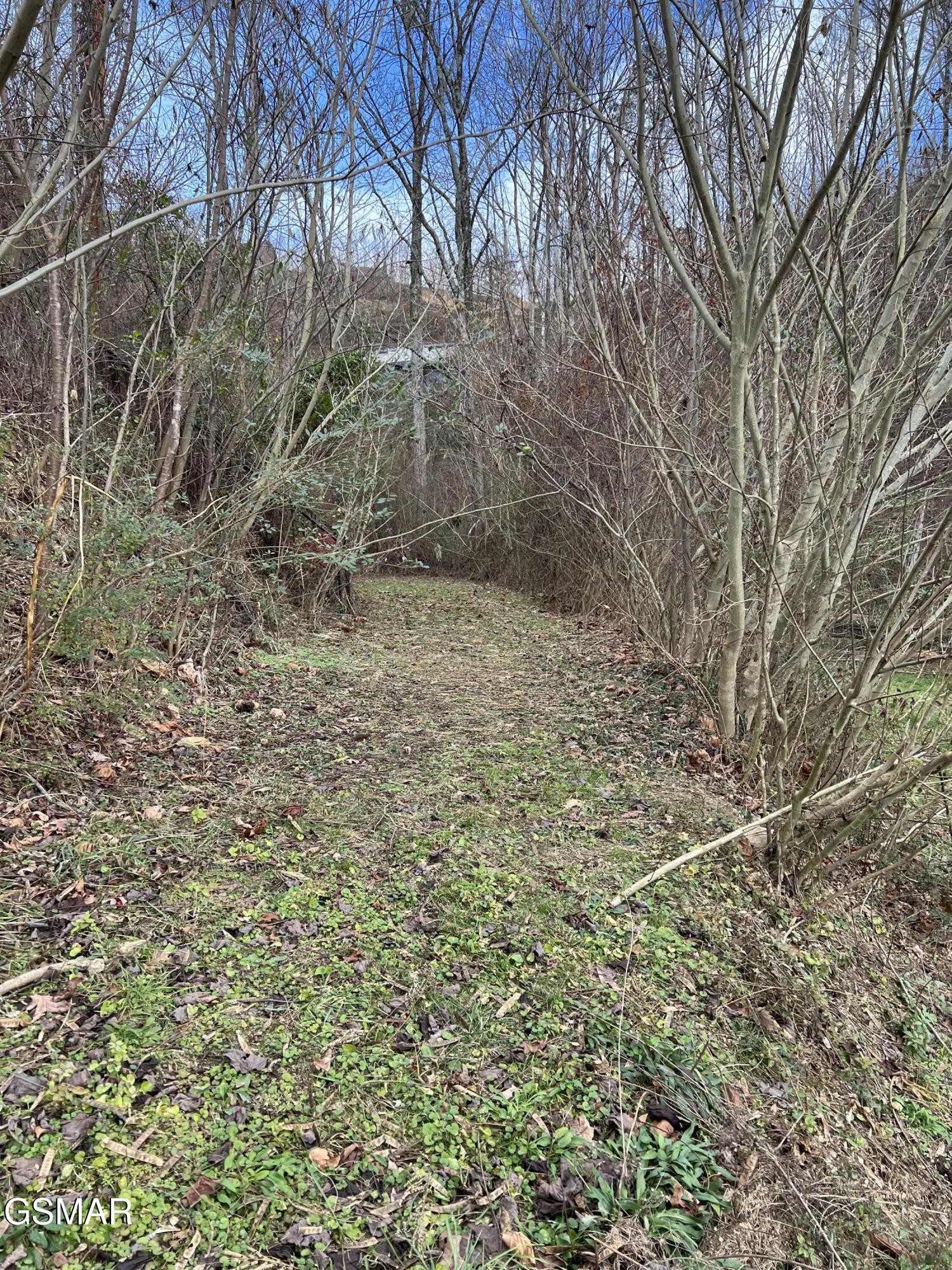 Gallery Image 6
