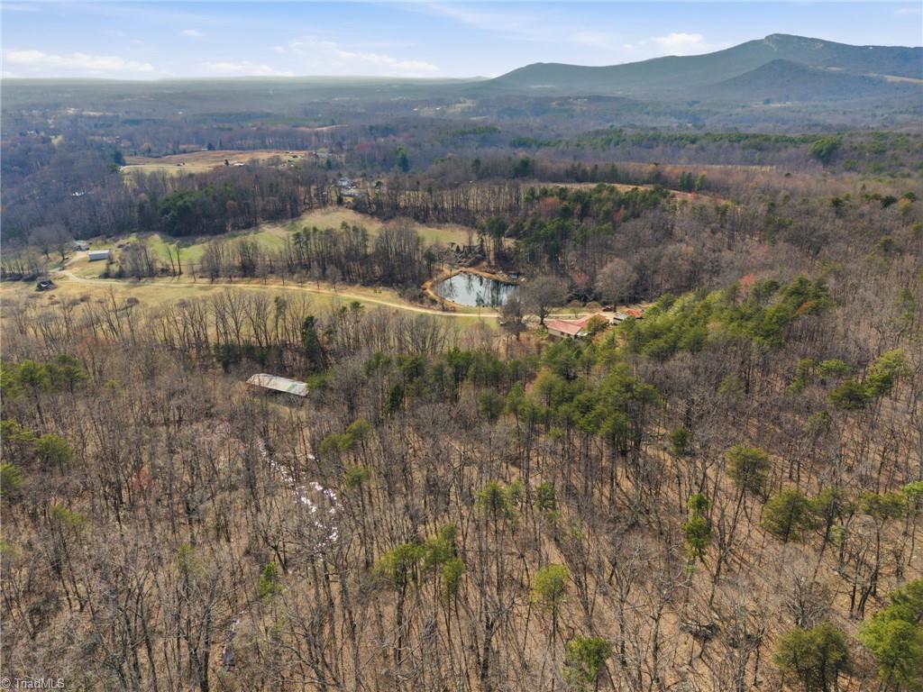 0 Reid Road King, NC 27021 - Photo 37 of 41