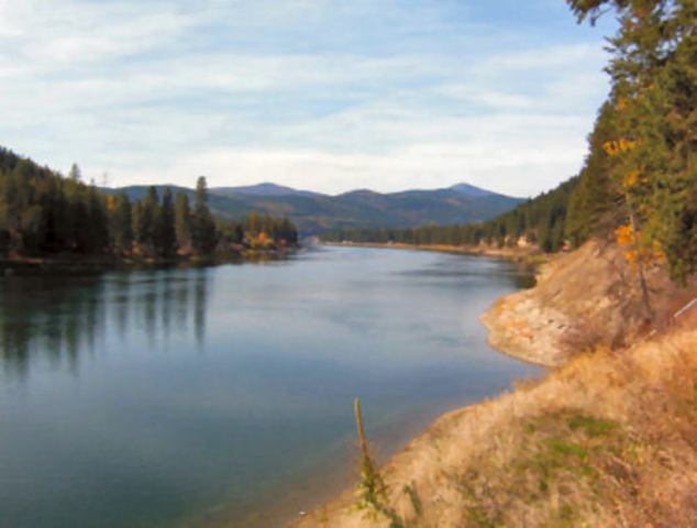 Xxxx Leclerc Rd North Cusick, WA 99119 - Photo 2 of 4 Gallery Image 2