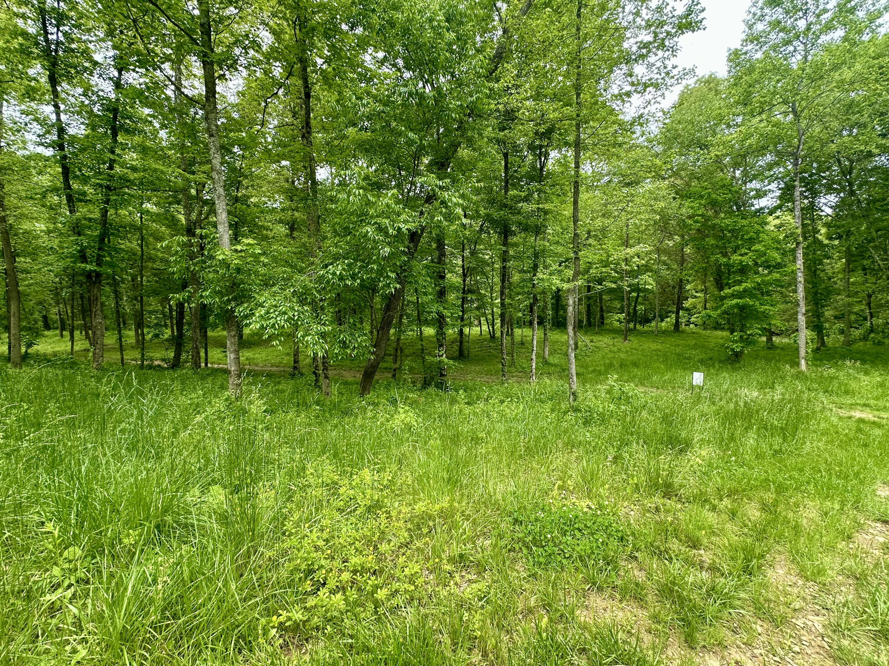 1815 Baldwin Road McKee, KY 40447 - Photo 48 of 68 IMG_0409