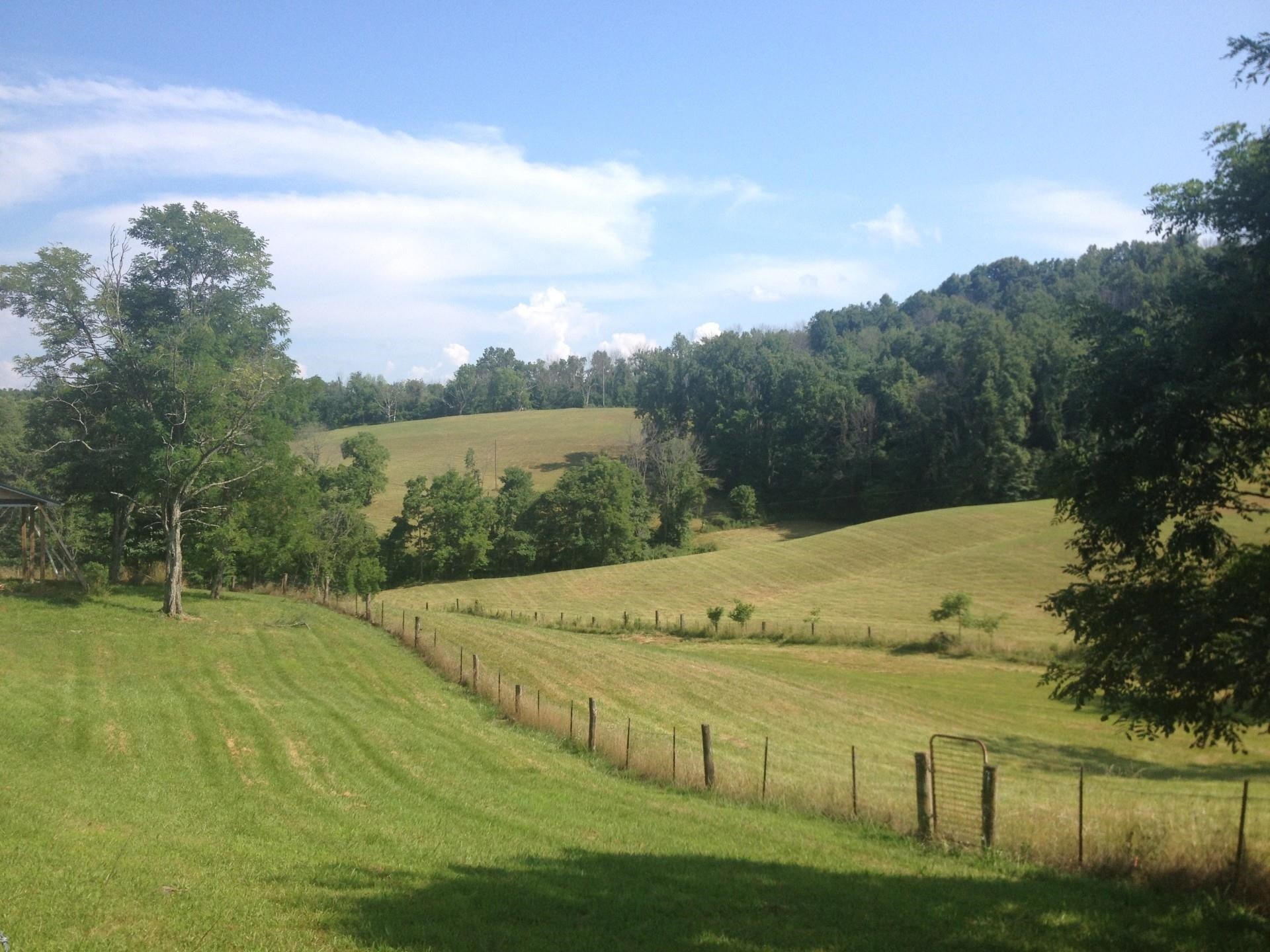 3944 Napier Ridge Genoa, WV 25517 - Photo 2 of 19 Gallery Image 2