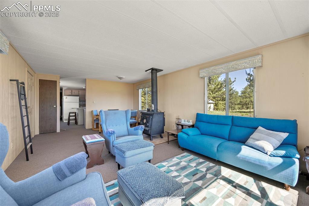 332 Valley Circle Guffey, CO 80820 - Photo 11 of 32 a living room with furniture rug and window