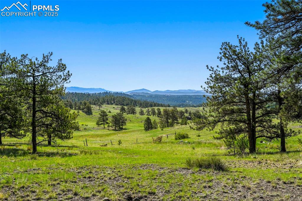 332 Valley Circle Guffey, CO 80820 - Photo 25 of 32 a view of a garden with an trees