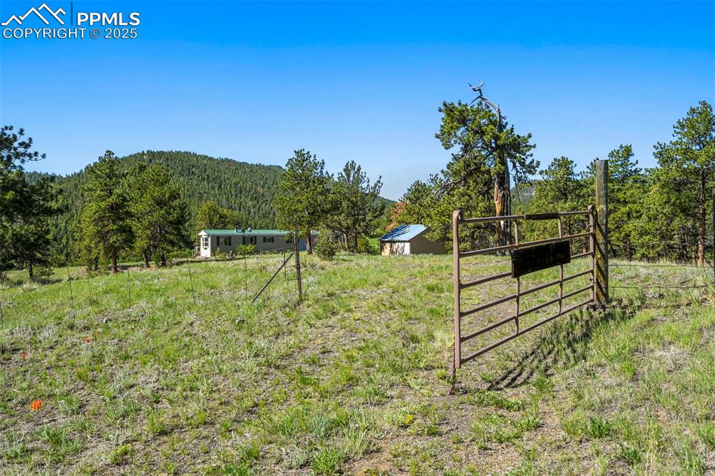 332 Valley Circle Guffey, CO 80820 - Photo 4 of 32 a view of a outdoor space