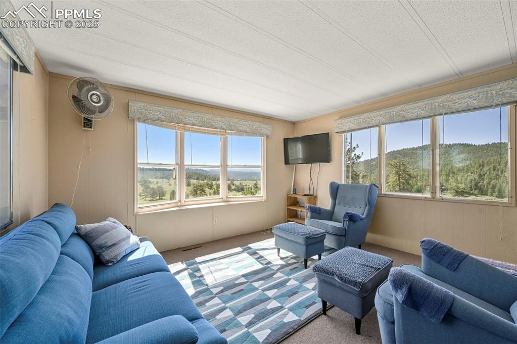 332 Valley Circle Guffey, CO 80820 - Photo 10 of 32 a living room with furniture and a large window