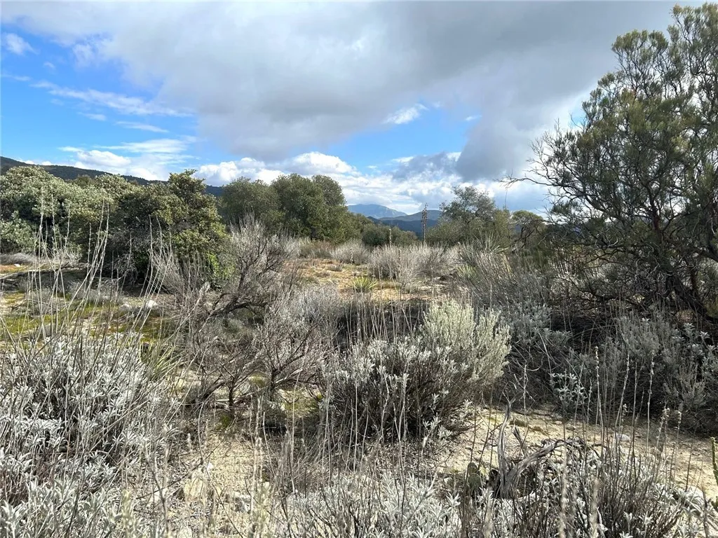 a view of a lake in between two of trees
