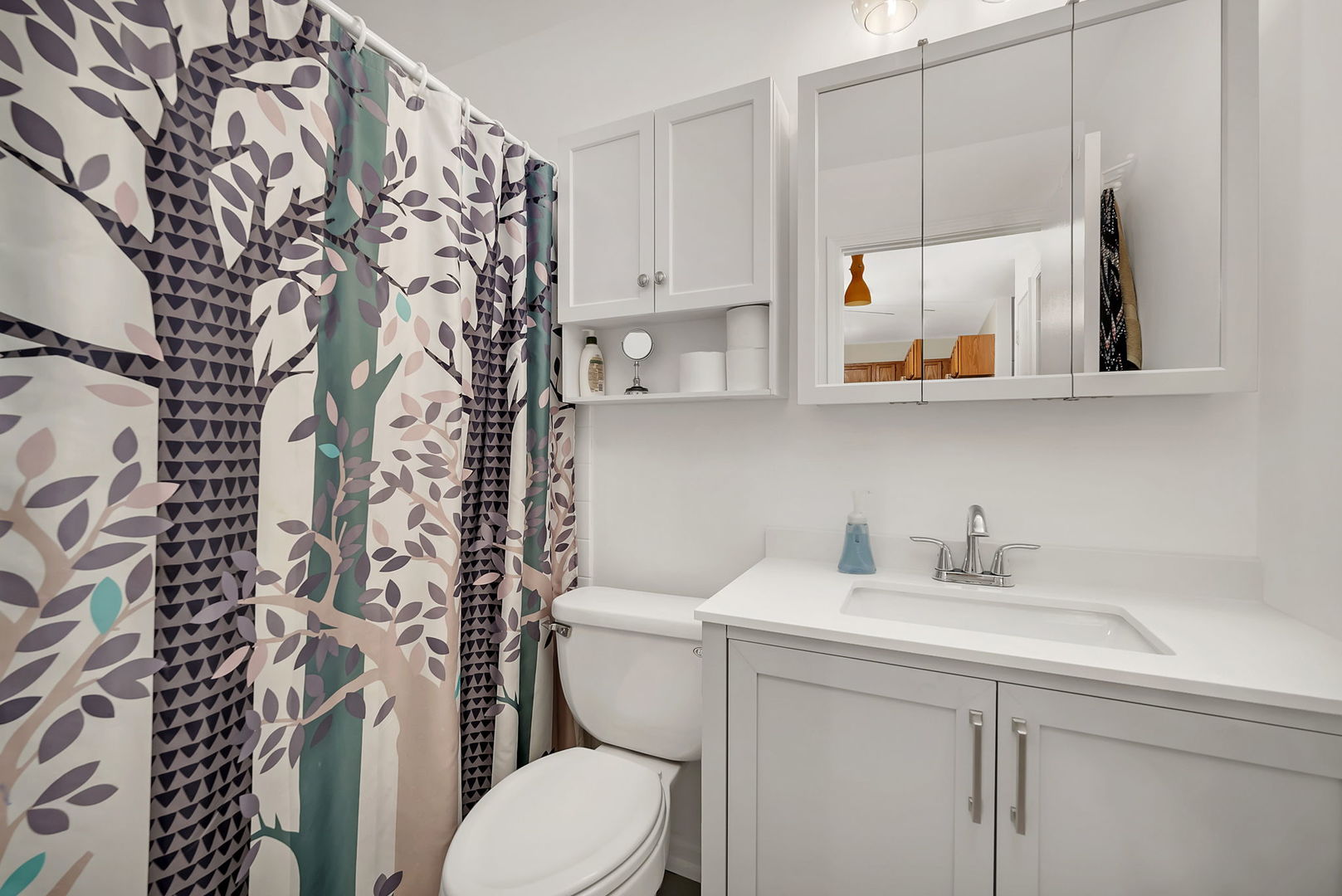 1900 Light Road, Unit 202 Oswego, IL 60543 - Photo 7 of 15 a bathroom with a sink a toilet and a mirror