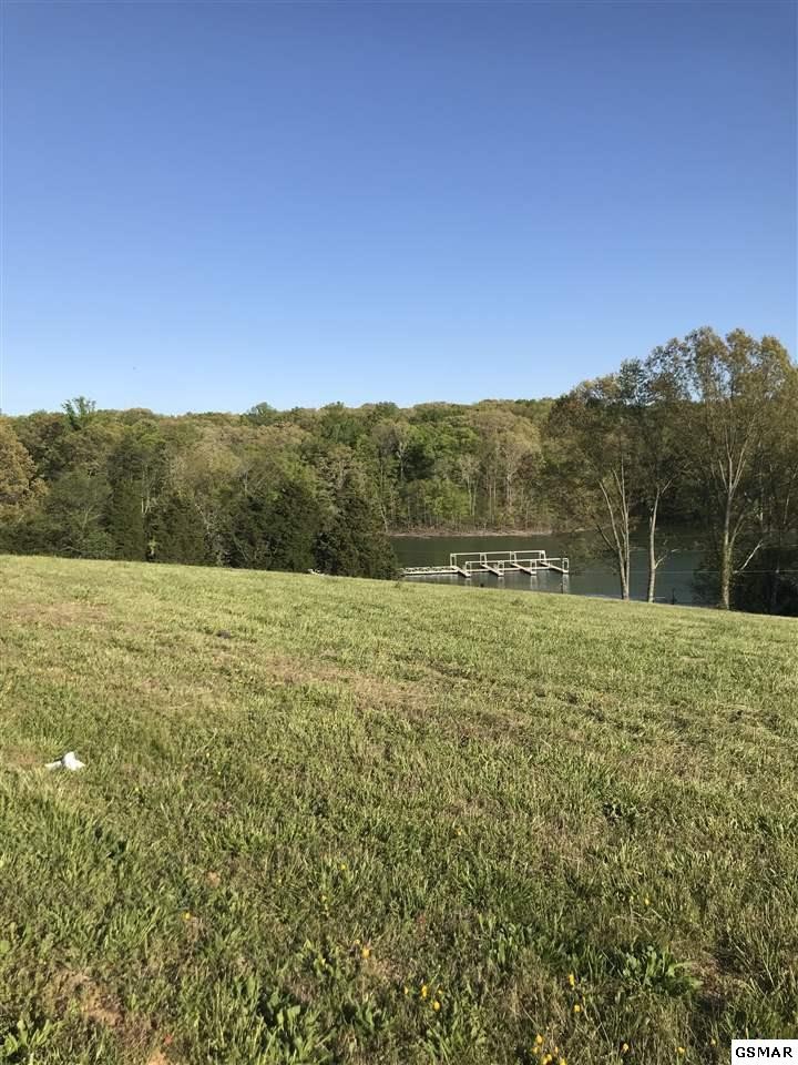 86 Shiloh Springs Road Rutledge, TN 37861 - Photo 6 of 14 Gallery Image 6