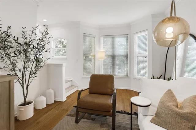 a living room with furniture and a potted plant