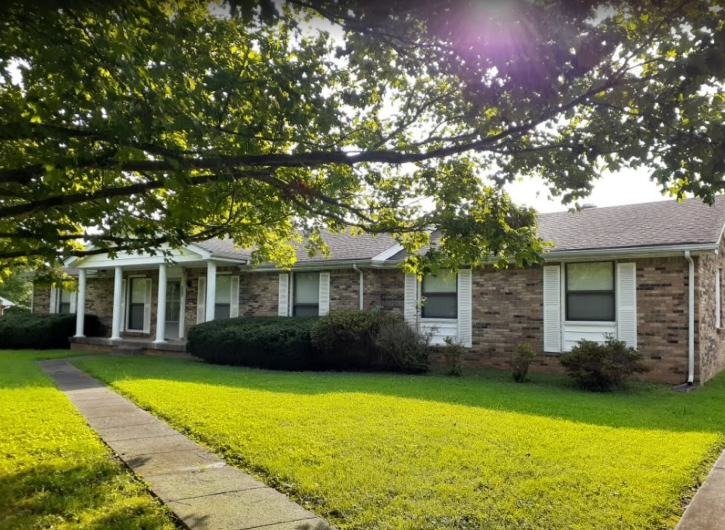 a view of a house with a garden