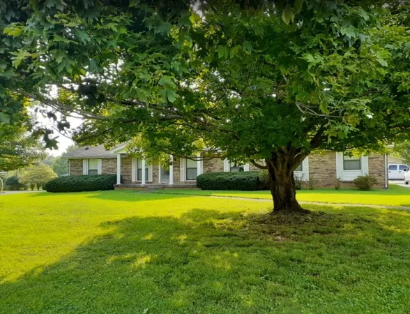 a view of a trees in front of a house with a yard